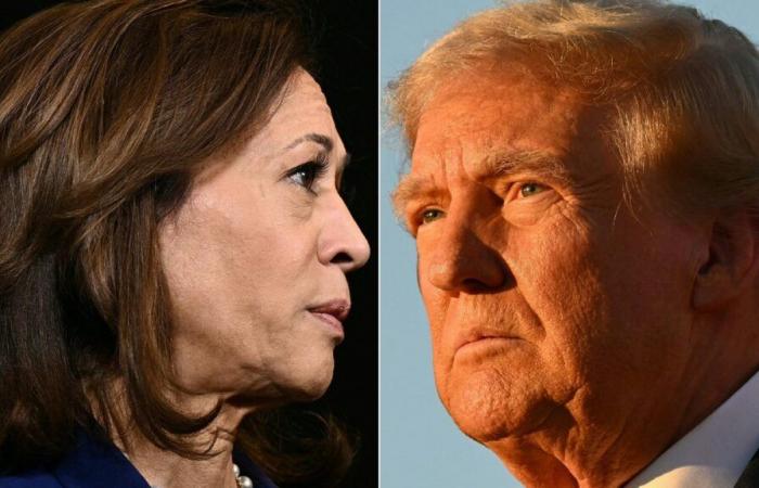 Trump “fiducioso”, Harris invita a “uscire e votare”… seguire le elezioni in diretta