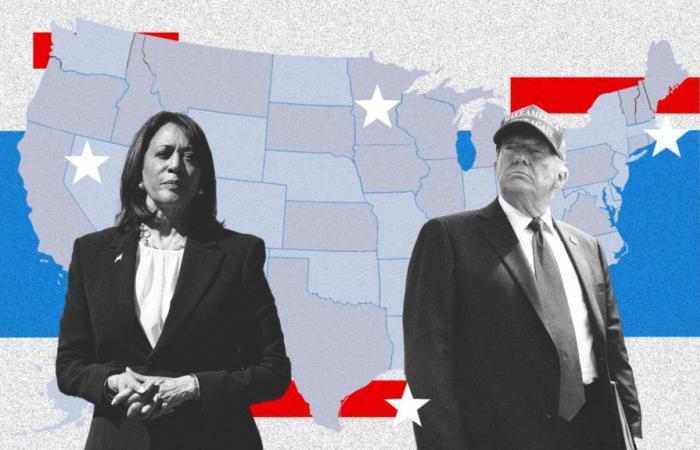 scopri i punteggi di Kamala Harris e Donald Trump, stato per stato