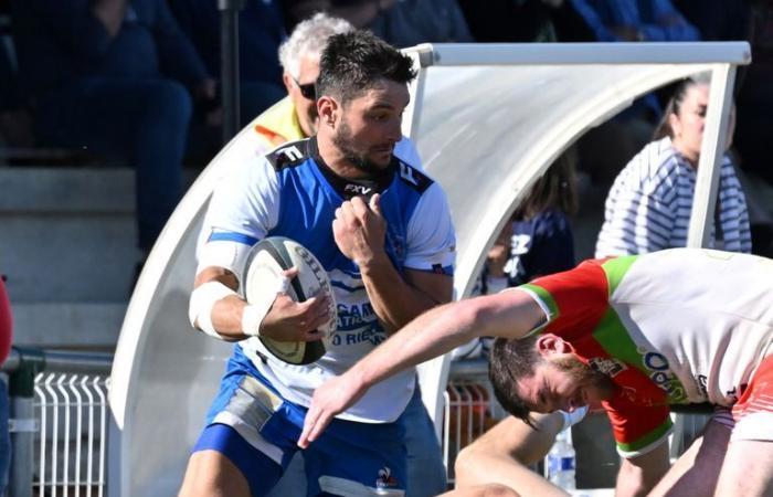 Trofei di rugby amatoriale 2024 nell'Alta Garonna: vota il tuo giocatore di Fédérale 1/Fédérale 2