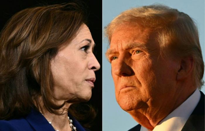 Harris o Trump: giornata storica di votazioni in America – 11/05/2024 alle 14:58