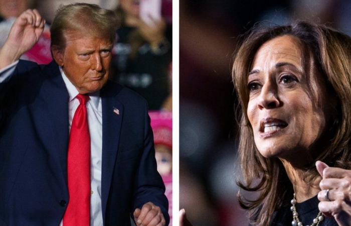 Elezioni presidenziali americane: Donald Trump o Kamala Harris, a che ora si conosceranno i risultati del voto?