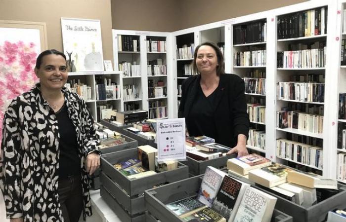 Due sorelle aprono Libr'& Sœurs, una libreria di seconda mano a Nevers