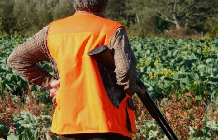 un deambulatore amputato dopo essere stato vittima di uno sparo accidentale da parte di un cacciatore