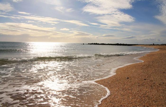 Afflitta da un tumore al cervello, prima di morire ha riunito i suoi amici su una spiaggia di Sète