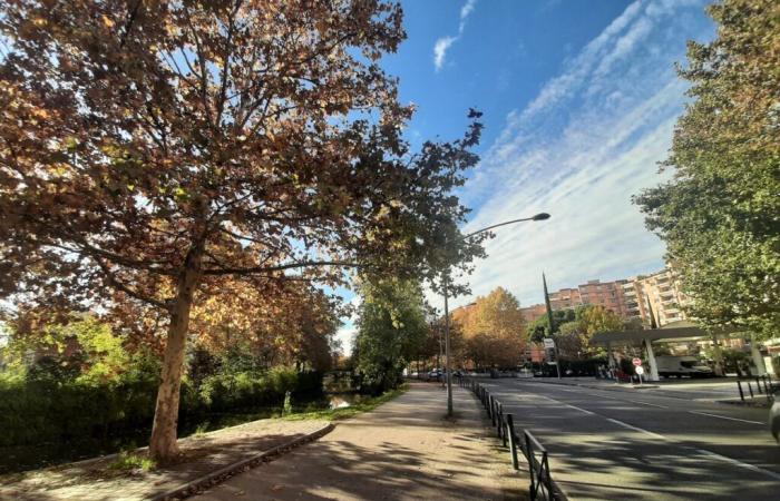 Météo France annuncia una giornata molto mite a Tolosa e in Occitania