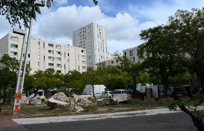 l'assassino arrestato dalla BAC Nord in una città di Marsiglia