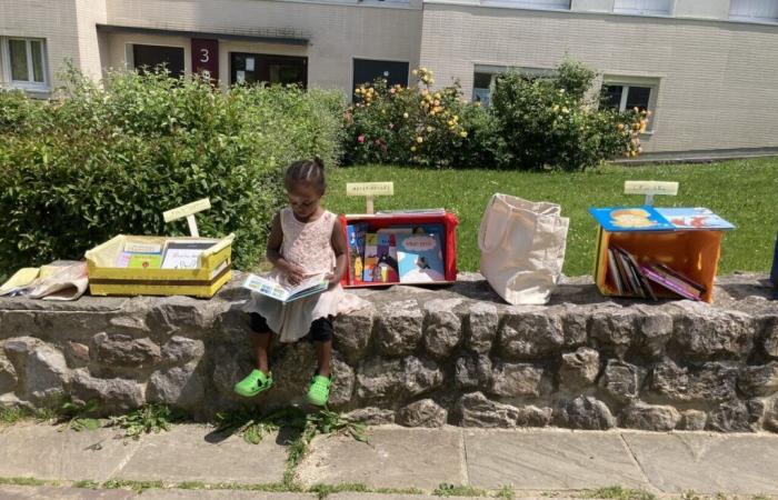 Questa libreria dell'Eure porta avanti un'azione per offrire un libro ai bambini del Secours populaire