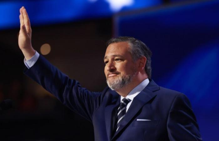 Il senatore Ted Cruz vince la rielezione, superando la sfida del democratico Colin Allred