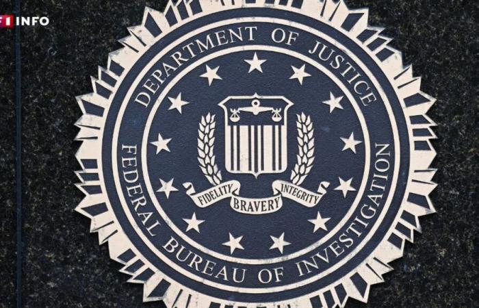 Elezioni presidenziali americane: l'FBI teme un'operazione di interferenza da parte della Russia