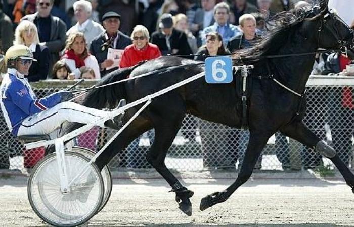 Quinté al Paris Vincennes martedì 5 novembre: i pronostici di Hervé Fortin