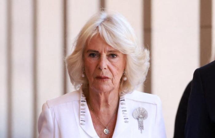 Il regno trema: la regina Camilla messa a riposo dai suoi medici, ha parlato la diagnosi medica