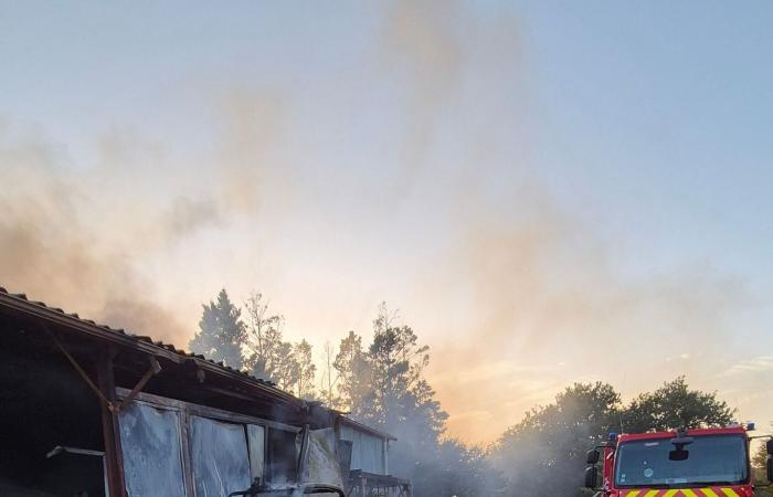 Incendio in un fabbricato agricolo a Crastes: 1.500 tonnellate di cereali e attrezzature minacciate dalle fiamme