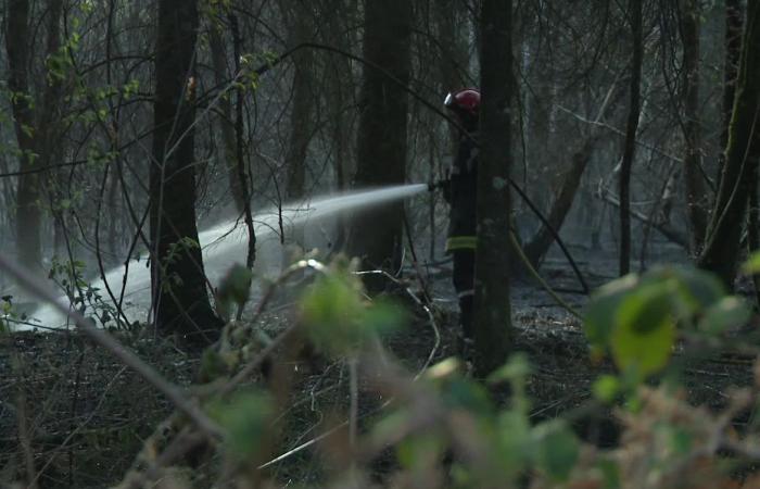 un ex pompiere condannato per sei incendi dolosi