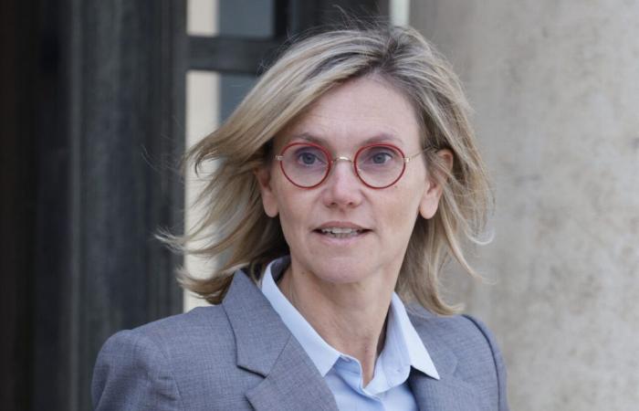 La ministra Agnès Pannier-Runacher è attesa questo giovedì nella Manica