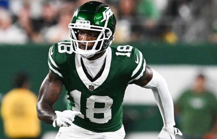 Gli Steelers ottengono il WR Mike Williams in scambio con i Jets, aggiungono il vantaggio Preston Smith nello scambio con Packers