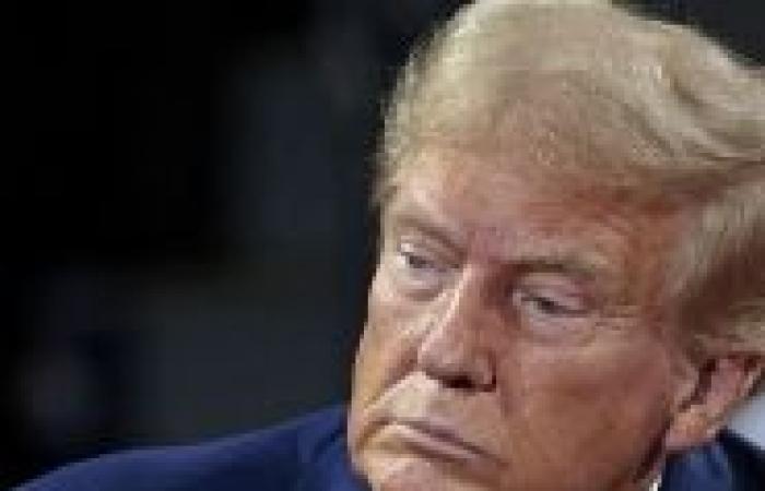 Elezioni presidenziali americane 2024: Donald Trump sulla buona strada negli stati chiave