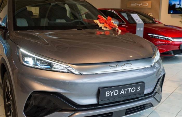 BYD: le vendite ribollono in Francia, al costo di una strategia molto aggressiva