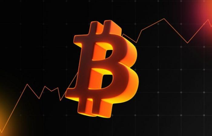 Bitcoin supera i 73.700 dollari, infrangendo il suo record di prezzo di tutti i tempi