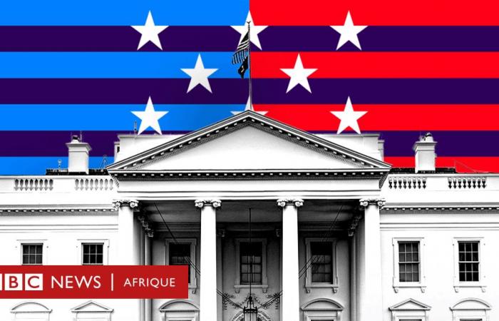 Elezioni americane 2024: una guida molto semplice al voto presidenziale