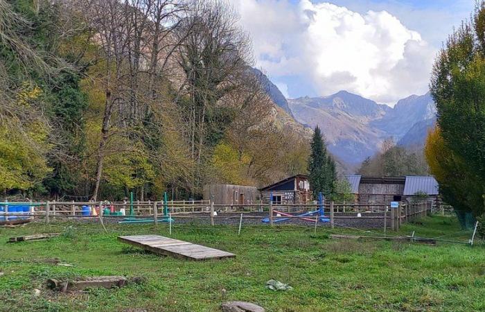 INFORMAZIONI LA ​​DEPECHE. Giovane donna violentata e trovata legata in un campo nell'Ariège: il sospettato è un conoscente della vittima