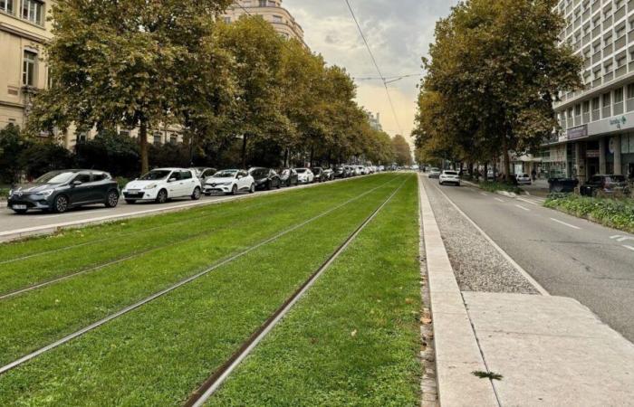 Controllore minacciato a Grenoble: mercoledì autobus e tram non circolano, la direzione contesta il diritto di recesso