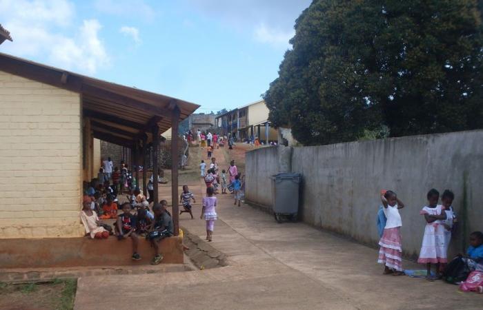 la fondazione Jean Jaurès mette in guardia dall'abbandono scolastico a Mayotte e in Guyana