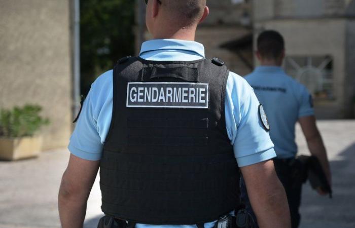 Ariège: ritrovata a Orgeix una giovane di 25 anni, legata in un campo dopo essere stata violentata