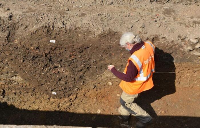 Alto Reno: numerosi teschi e ossa scoperti in un cantiere di sterro a Saint-Louis