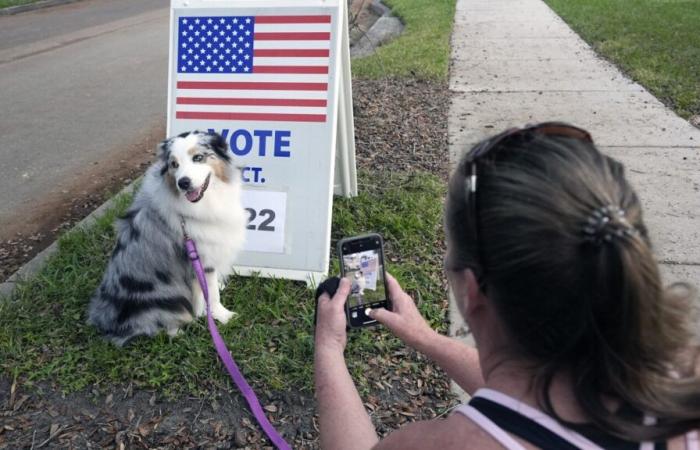 Perché AP ha chiamato la Florida per Trump