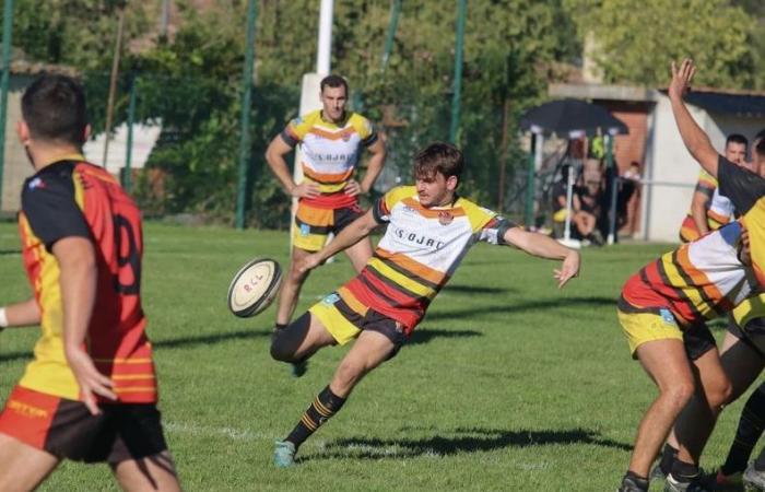 Trofei di rugby amatoriale 2024 nell'Alta Garonna: vota il tuo giocatore della Regione 2