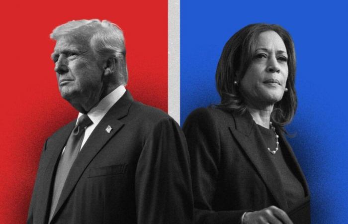 incidenti nei seggi elettorali, seguire in diretta i risultati del duello Trump-Harris