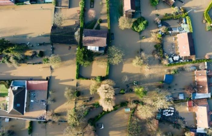 un anno dopo le inondazioni, le imprese di Audomarois rinascono