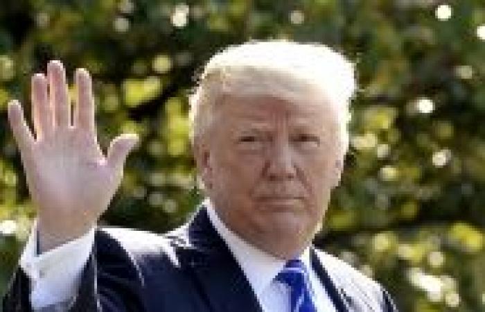 Elezioni presidenziali americane 2024: Donald Trump sulla buona strada negli stati chiave