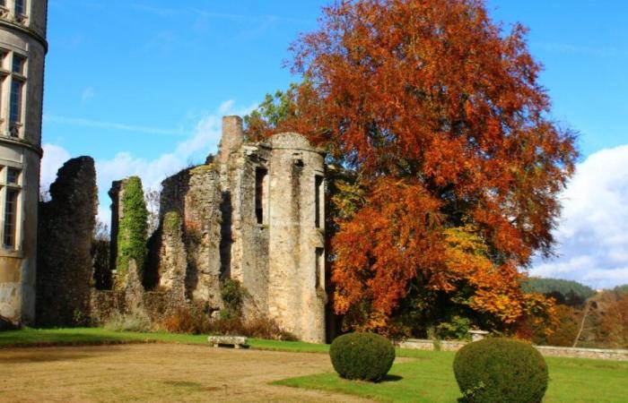 9 parchi e giardini apriranno gratuitamente le loro porte al pubblico il 16 e 17 novembre in occasione della 1a edizione di Parcs en Automne – Angers Info