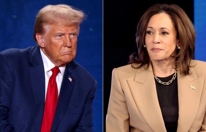 Donald Trump o Kamala Harris? Cosa dicono gli ultimi sondaggi a poche ore dalle elezioni americane