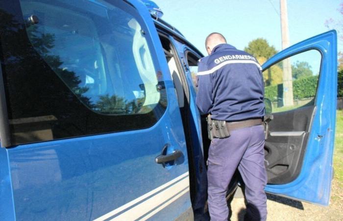 La polizia ferma un'auto impazzita e fa una scoperta sorprendente nell'Oise