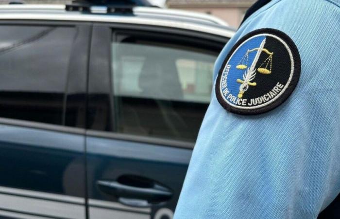 Doullens: una giovane donna uccisa a colpi di arma da fuoco, il suo compagno in custodia di polizia