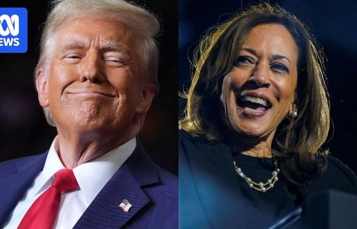 La corsa tra Kamala Harris e Donald Trump raggiunge il culmine nella campagna elettorale americana sempre più segnata da paura e vetriolo