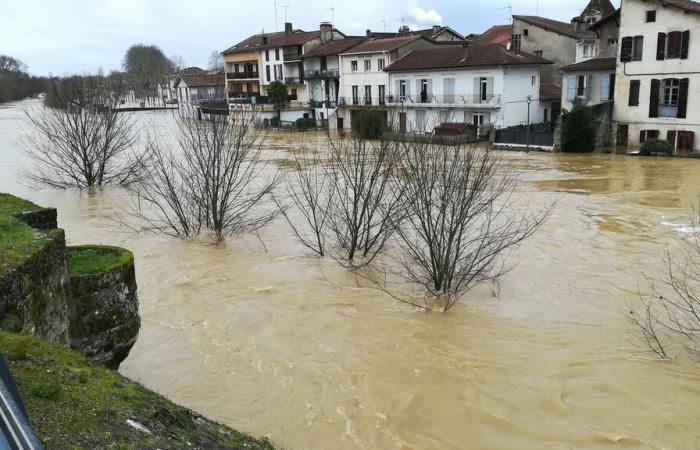 il bacino dell'Adour vorrebbe ricostruirlo ancora meglio