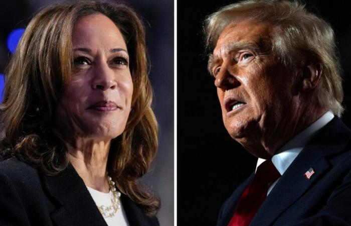 Il giorno delle elezioni arriva con una scelta difficile: Donald Trump o Kamala Harris?