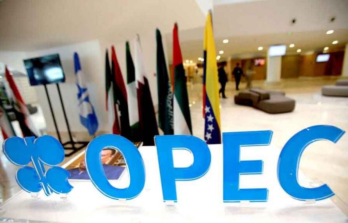 Il mercato reagisce all’estensione delle riduzioni volontarie dell’OPEC+: prezzi del petrolio in forte rialzo