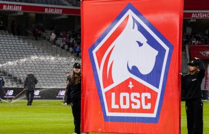 LOSC: Lille presto acquistato?