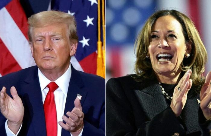 Elezioni americane 2024: quali sono i 7 stati indecisi che decideranno il destino di Donald Trump e Kamala Harris?