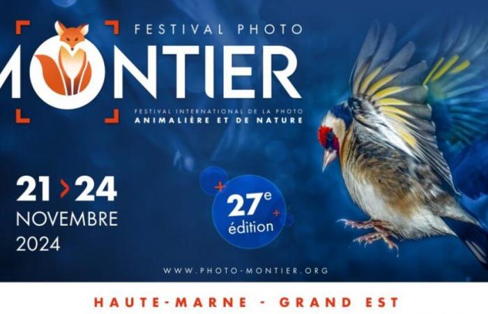 Il festival fotografico di Montier-en-Der si svolge a fine novembre, nell'Alta Marna