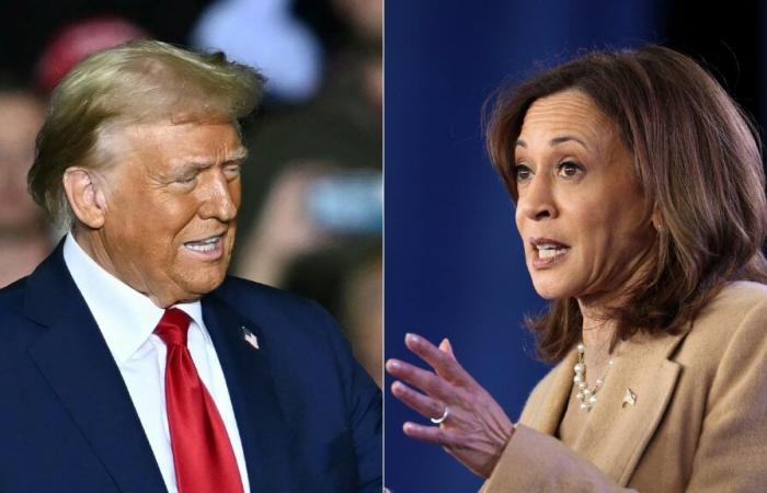 quando sapremo chi ha vinto, Kamala Harris o Donald Trump?