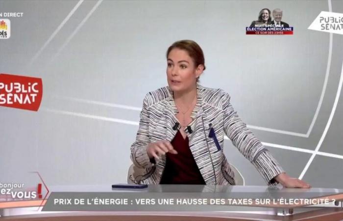 “Lo scudo tariffario è finito, la Francia non può più permetterselo”, assicura Olga Givernet