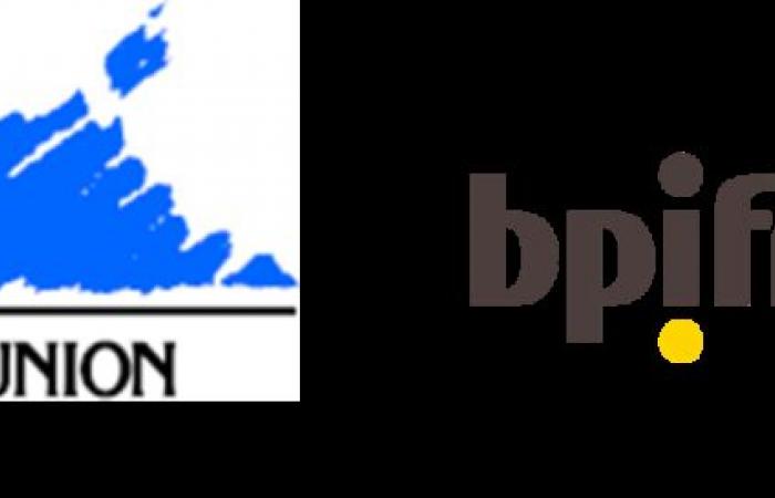 La Regione della Riunione e Bpifrance hanno lanciato il “Prestito di recupero della Riunione” destinato a sostenere il flusso di cassa delle microimprese e delle PMI che desiderano finanziare un programma di sviluppo – Bpifrance 2024