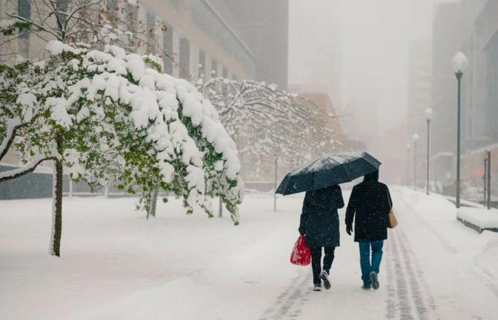 tornerà la neve nei prossimi giorni?