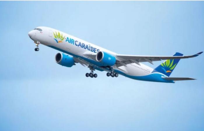 Air Caraibes e French Bee aumenteranno il prezzo dei loro biglietti aerei