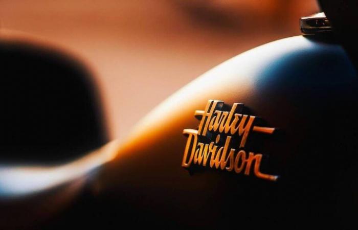 Sta vendendo una Harley-Davidson appartenuta a Johnny Hallyday per pagarsi la pensione